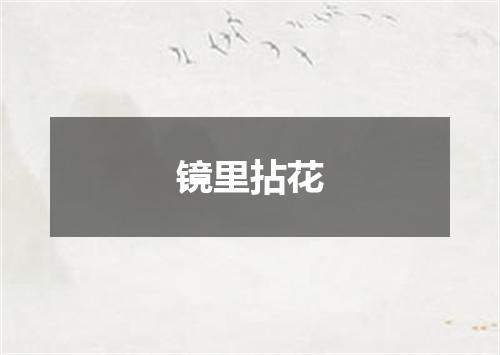 镜里拈花
