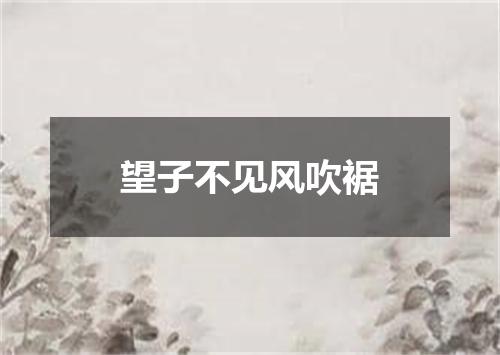 望子不见风吹裾
