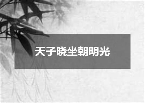 天子晓坐朝明光
