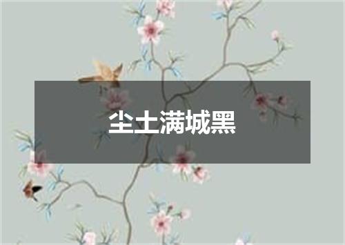尘土满城黑
