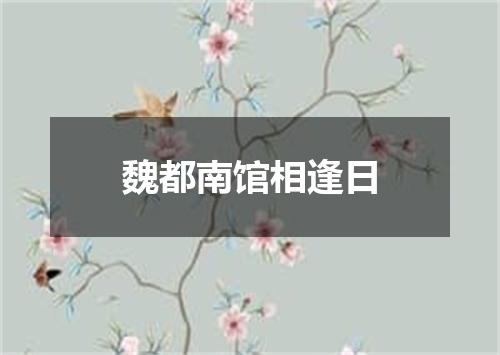 魏都南馆相逢日