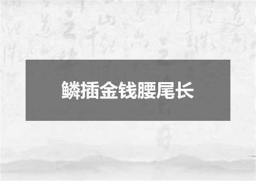鳞插金钱腰尾长