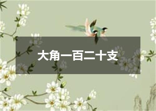 大角一百二十支