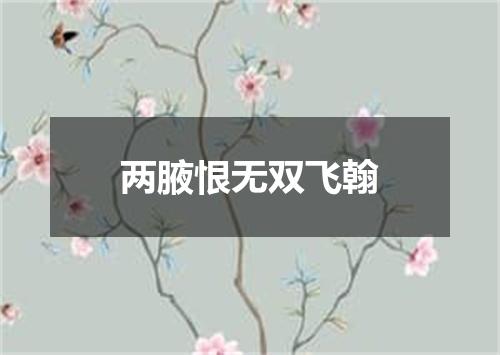 两腋恨无双飞翰