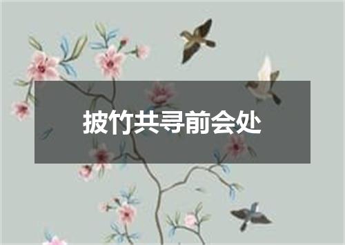 披竹共寻前会处