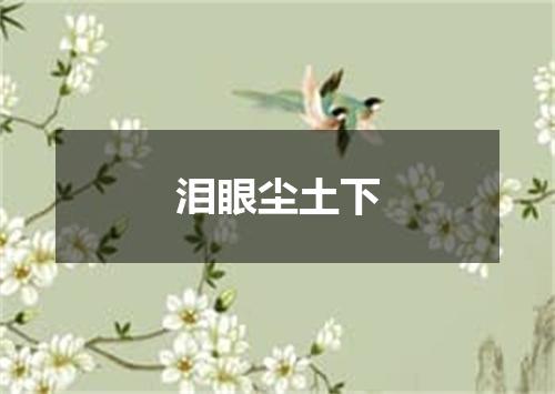 泪眼尘土下