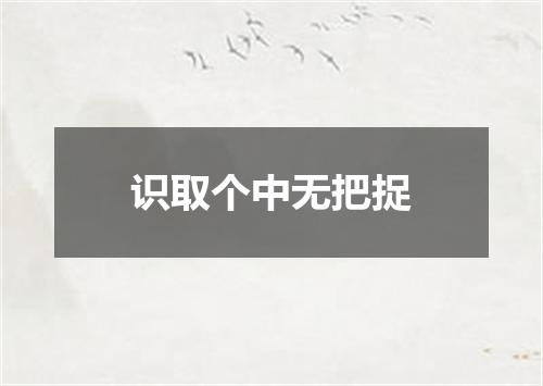 识取个中无把捉