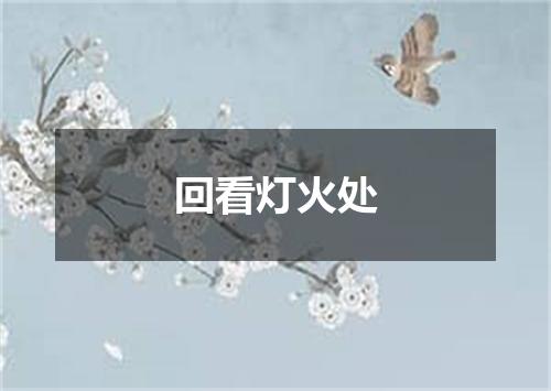 回看灯火处