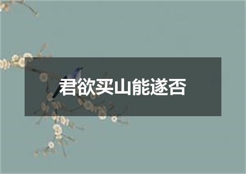 君欲买山能遂否