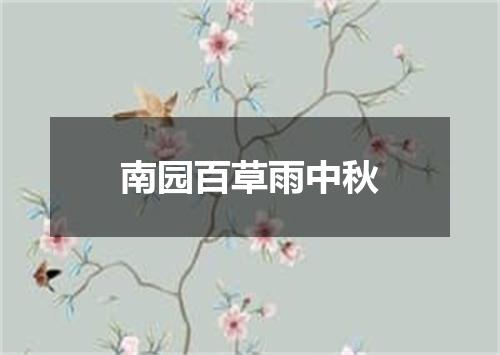 南园百草雨中秋