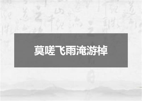 莫嗟飞雨淹游棹