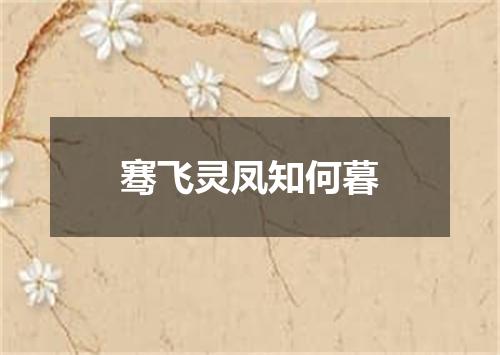 骞飞灵凤知何暮