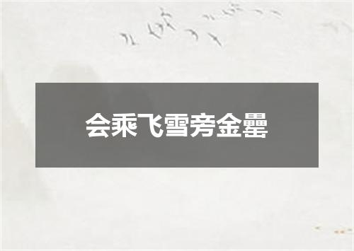 会乘飞雪旁金罍