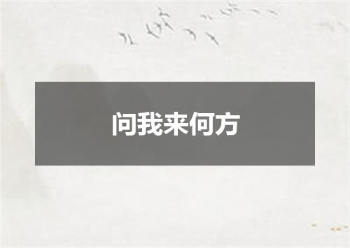 问我来何方