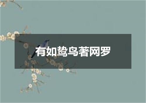 有如鸷鸟著网罗