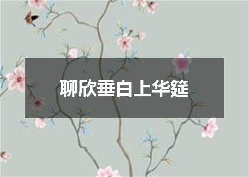 聊欣垂白上华筵