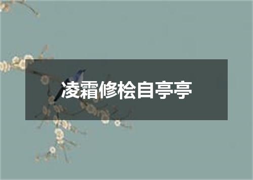凌霜修桧自亭亭