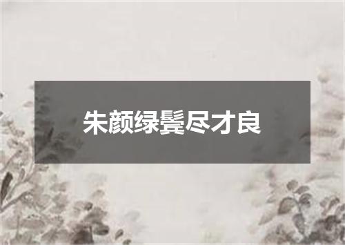 朱颜绿鬓尽才良