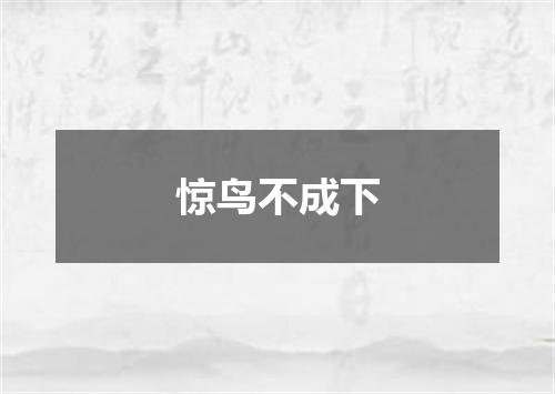 惊鸟不成下