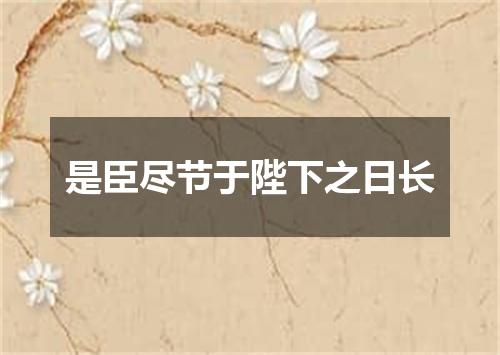 是臣尽节于陛下之日长