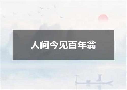 人间今见百年翁