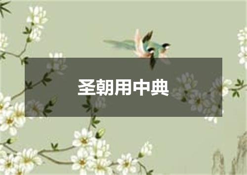 圣朝用中典
