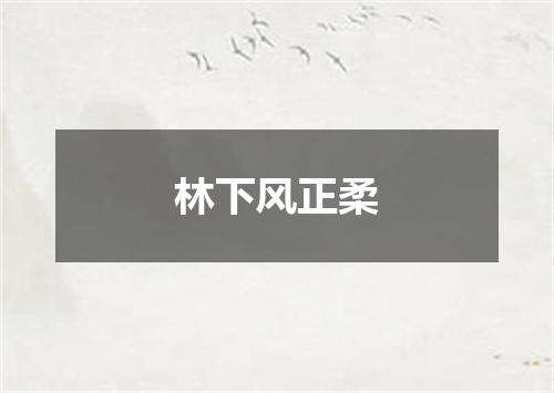 林下风正柔