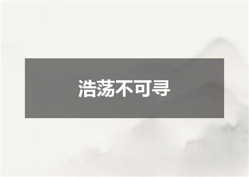 浩荡不可寻