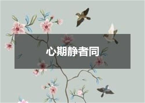 心期静者同