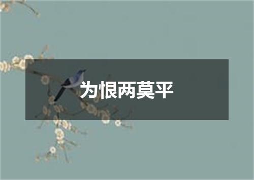 为恨两莫平