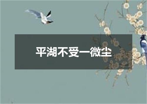 平湖不受一微尘