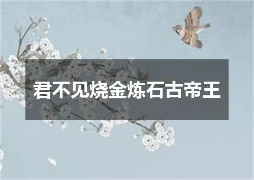 君不见烧金炼石古帝王