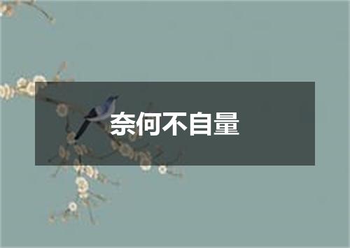 奈何不自量