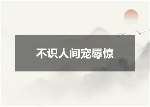 不识人间宠辱惊