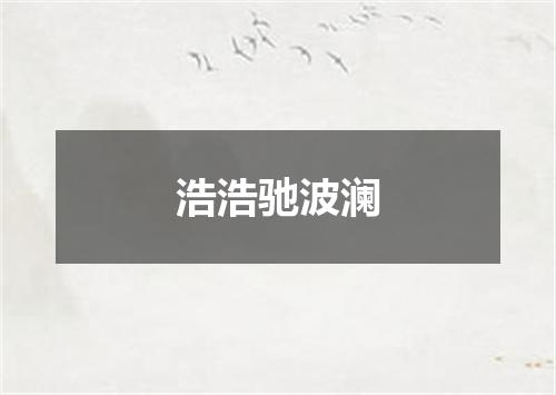 浩浩驰波澜
