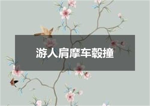 游人肩摩车毂撞