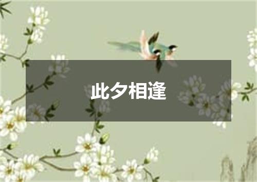 此夕相逢