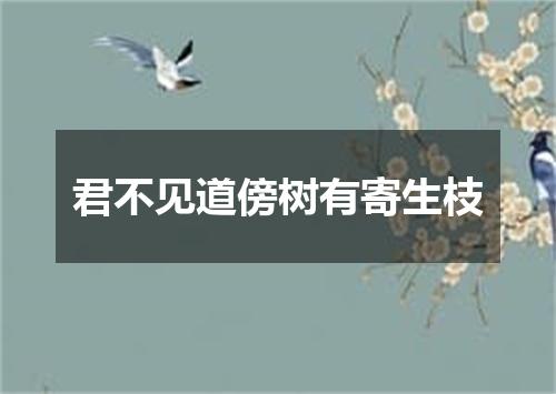 君不见道傍树有寄生枝