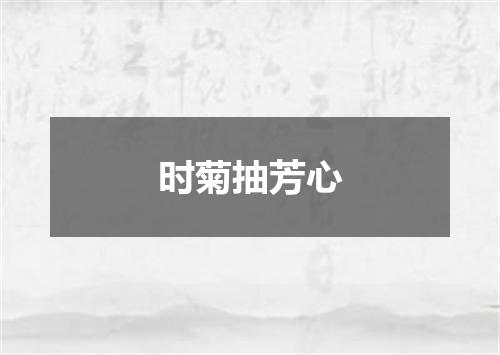 时菊抽芳心