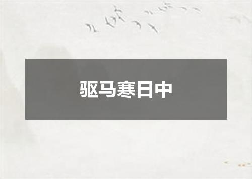 驱马寒日中