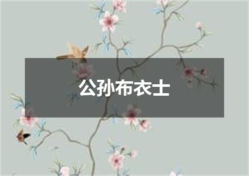 公孙布衣士