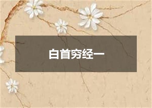 白首穷经一