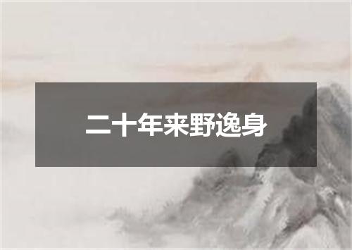 二十年来野逸身