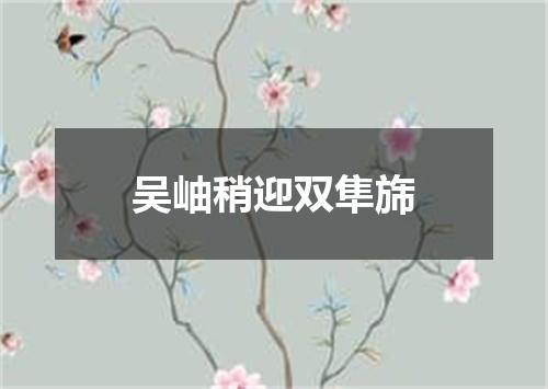 吴岫稍迎双隼旆