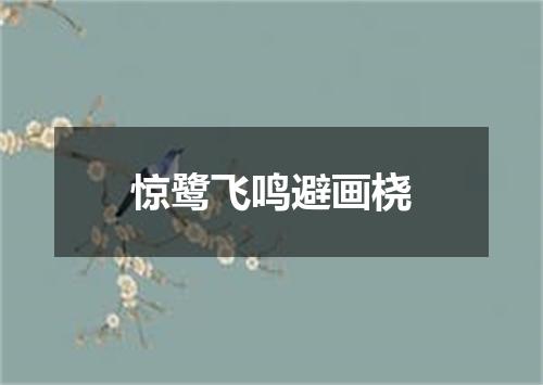 惊鹭飞鸣避画桡