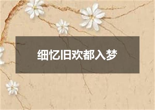 细忆旧欢都入梦