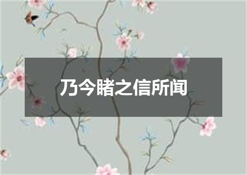 乃今睹之信所闻