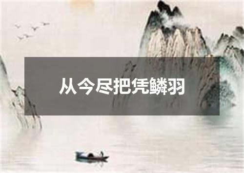 从今尽把凭鳞羽