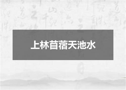 上林苜蓿天池水