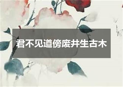君不见道傍废井生古木